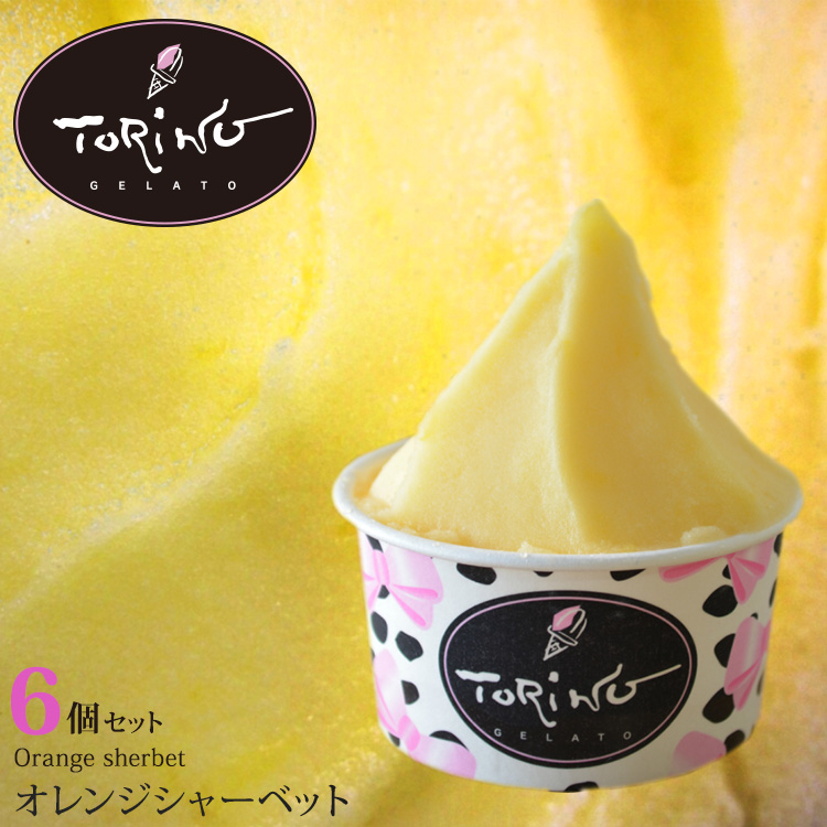 オレンジ シャーベット6個セット | ジェラート トリノ